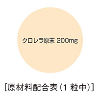 ޗz\ N
