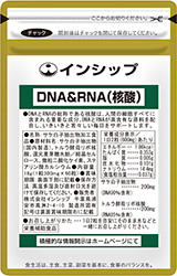 DNA&RNA(核酸)