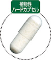 ビフィズス+乳酸菌粒写真