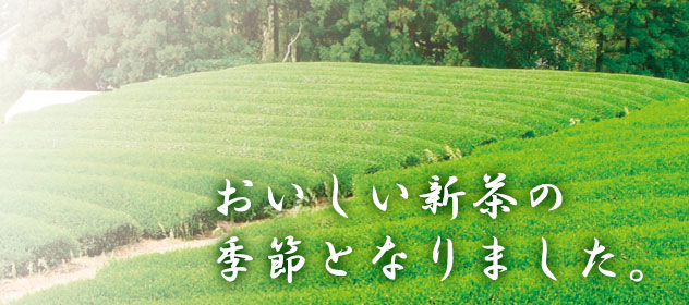 V̋G߂ƂȂ܂B