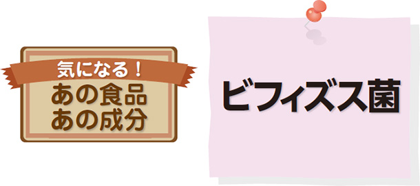気になる!あの食品 あの成分 ビフィズス菌