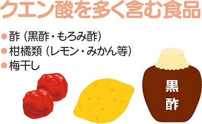 クエン酸を多く含む食品●酢(黒酢・もろみ酢)●柑橘類(レモン・みかん等)●梅干し