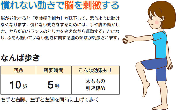 慣れない動きで脳を刺激する 脳が老化すると「身体操作能力」が低下して、思うように動けなくなります。慣れない動きをするためには、手や脚の動かし方、からだのバランスのとり方を考えながら運動することになり、ふだん働いていない動きに関する脳の領域が刺激されます。