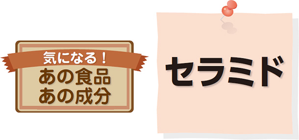 気になる!あの食品、あの成分 セラミド