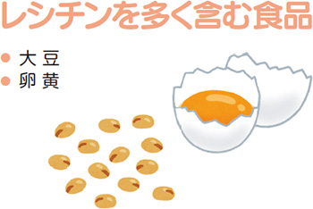 レシチンを多く含む食品