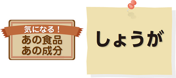 気になる!あの食品、あの成分 しょうが