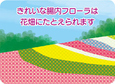 きれいな腸内フローラは花畑にたとえられます