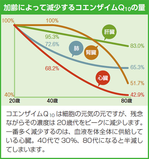 加齢によって減少するコエンザイムQ10の量 コエンザイムQ10は細胞の元気の元ですが、残念ながらその濃度は20歳代をピークに減少します。一番多く減少するのは、血液を体全体に供給している心臓。40代で30%、80代になると半減してしまいます。