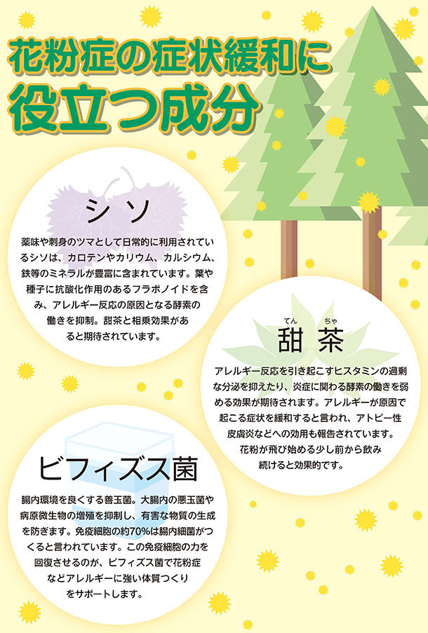 花粉症の症状緩和に役立つ成分 シソ 薬味や刺身のツマとして日常的に利用されているシソは、カロテンやカリウム、カルシウム、鉄等のミネラルが豊富に含まれています。葉や種子に抗酸化作用のあるフラボノイドを含み、アレルギー反応の原因となる酵素の働きを抑制。甜茶と相乗効果があると期待されています。 甜茶 アレルギー反応を引き起こすヒスタミンの過剰な分泌を抑えたり、炎症に関わる酵素の働きを弱める効果が期待されます。アレルギーが原因で起こる症状を緩和すると言われ、アトピー性皮膚炎などへの効用も報告されています。花粉が飛び始める少し前から飲み続けると効果的です。 ビフィズス菌 腸内環境を良くする善玉菌。大腸内の悪玉菌や病原微生物の増殖を抑制し、有害な物質の生成を防ぎます。免疫細胞の約70%は腸内細菌がつくると言われています。この免疫細胞の力を回復させるのが、ビフィズス菌で花粉症などアレルギーに強い体質つくりをサポートします。