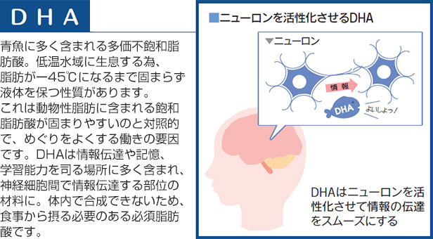 DHA 青魚に多く含まれる多価不飽和脂肪酸。低温水域に生息する為、脂肪が-45℃になるまで固まらず液体を保つ性質があります。これは動物性脂肪に含まれる飽和脂肪酸が固まりやすいのと対照的で、めぐりをよくする働きの要因です。DHAは情報伝達や記憶、学習能力を司る場所に多く含まれ、神経細胞間で情報伝達する部位の材料に。体内で合成できないため、食事から摂る必要のある必須脂肪酸です。