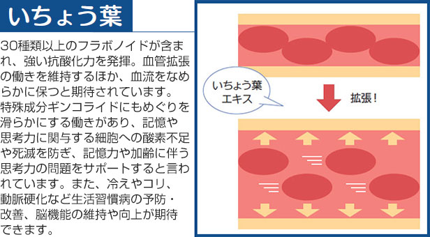 いちょう葉 30種類以上のフラボノイドが含まれ、強い抗酸化力を発揮。血管拡張の働きを維持するほか、血流をなめらかに保つと期待されています。特殊成分ギンコライドにもめぐりを滑らかにする働きがあり、記憶や思考力に関与する細胞への酸素不足や死滅を防ぎ、記憶力や加齢に伴う思考力の問題をサポートすると言われています。また、冷えやコリ、動脈硬化など生活習慣病の予防・改善、脳機能の維持や向上が期待できます。