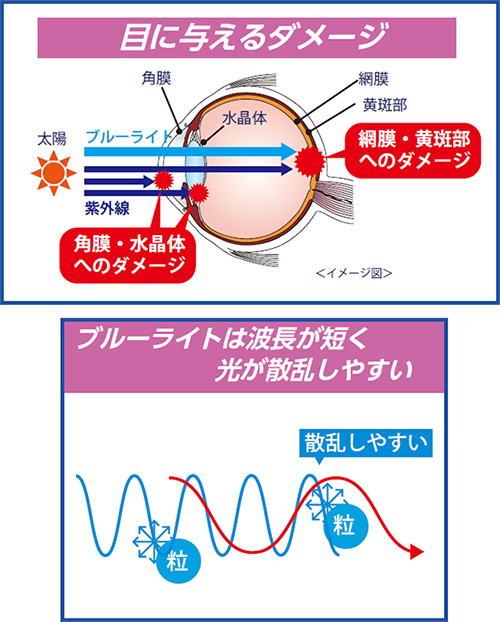 目に与えるダメージ 網膜・黄斑部へのダメージ 角膜・水晶体へのダメージ ブルーライトは波長が短く光が散乱しやすい