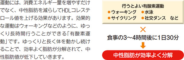 運動には、消費エネルギー量を増やすだけでなく、中性脂肪を減らしてHDLコレステロール値を上げる効果があります。効果的な運動はウォーキングなどのように、ゆっ
くり長時間行うことができる「有酸素運動」です。ゆっくりと長く体を動かし続けることで、効率よく脂肪が分解されて、中性脂肪値が低下していきます。