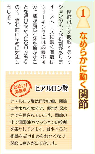 なめらかに動く関節 関節は力を吸収するクッションのような役割があります。スムーズに動く関節はウォーキングには必要不可欠。膝が痛むと体を動かすことを避けるようになりがちなので、痛む前に早めに対応しましょう。ヒアルロン酸は目や皮膚、関節に含まれる成分で、優れた保水力で注目されています。関節の中で潤滑油やクッションの役割を果たしています。減少すると衝撃を受け止められなくなり、関節に痛みが出てきます。
