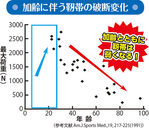 加齢に伴う靭帯の破断変化