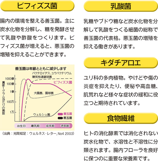 ビフィズス菌 腸内の環境を整える善玉菌。主に炭水化物を分解し、糖を発酵させて乳酸や酢酸をつくります。ビフィズス菌が増えると、悪玉菌の増殖を抑えることができます。 乳酸菌 乳糖やブドウ糖など炭水化物を分解して乳酸をつくる細菌の総称で善玉菌の代表格。悪玉菌の増殖を抑える働きがあります。 キダチアロエ ユリ科の多肉植物。やけどや傷の炎症を抑えたり、便秘や高血糖、肌荒れなど様々な症状の緩和に役立つと期待されています。 食物繊維 ヒトの消化酵素では消化されない炭水化物で、水溶性と不溶性に分類されます。腸内フローラを良好に保つのに重要な栄養素です。