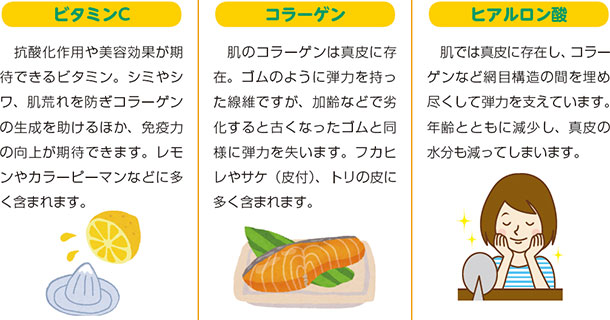 ビタミンC 抗酸化作用や美容効果が期待できるビタミン。シミやシワ、肌荒れを防ぎコラーゲンの生成を助けるほか、免疫力の向上が期待できます。レモンやカラーピーマンなどに多く含まれます。コラーゲン 肌のコラーゲンは真皮に存在。ゴムのように弾力を持った線維ですが、加齢などで劣化すると古くなったゴムと同様に弾力を失います。フカヒレやサケ(皮付)、トリの皮に多く含まれます。 ヒアルロン酸 肌では真皮に存在し、コラーゲンなど網目構造の間を埋め尽くして弾力を支えています。年齢とともに減少し、真皮の水分も減ってしまいます。
