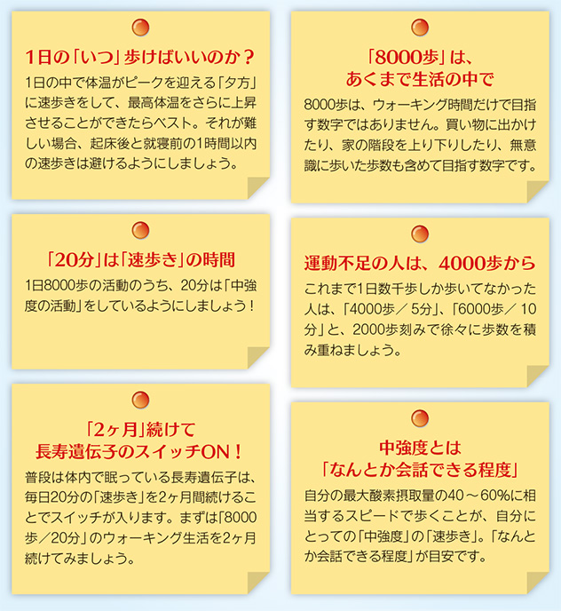 1日の「いつ」歩けばいいのか?1日の中で体温がピークを迎える「夕方」に速歩きをして、最高体温をさらに上昇させることができたらベスト。それが難しい場合、起床後と就寝前の1時間以内の速歩きは避けるようにしましょう。「20分」は「速歩き」の時間 1日8000歩の活動のうち、20分は「中強度の活動」をしているようにしましょう!「2ヶ月」続けて長寿遺伝子のスイッチON!普段は体内で眠っている長寿遺伝子は、毎日20分の「速歩き」を2ヶ月間続けることでスイッチが入ります。まずは「8000歩/20分」のウォーキング生活を2ヶ月続けてみましょう。「8000歩」は、あくまで生活の中で 8000歩は、ウォーキング時間だけで目指す数字ではありません。買い物に出かけたり、家の階段を上り下りしたり、無意識に歩いた歩数も含めて目指す数字です。運動不足の人は、4000歩から これまで1日数千歩しか歩いてなかった人は、「4000歩/ 5分」、「6000歩/ 10分」と、2000歩刻みで徐々に歩数を積み重ねましょう。中強度とは「なんとか会話できる程度」自分の最大酸素摂取量の40〜60%に相当するスピードで歩くことが、自分にとっての「中強度」の「速歩き」。「なんとか会話できる程度」が目安です。