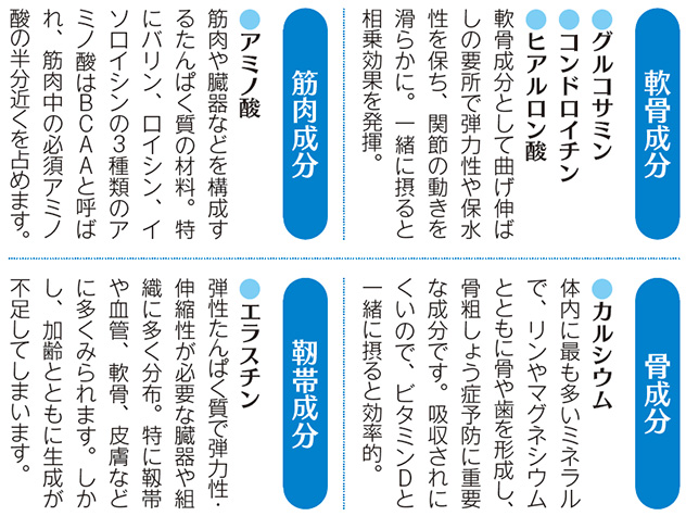 軟骨成分 グルコサミン コンドロイチン ヒアルロン酸 軟骨成分として曲げ伸ばしの要所で弾力性や保水性を保ち、関節の動きを滑らかに。一緒に摂ると相乗効果を発揮。 骨成分 カルシウム 体内に最も多いミネラルで、リンやマグネシウムとともに骨や歯を形成し、骨粗しょう症予防に重要な成分です。吸収されにくいので、ビタミンDと一緒に摂ると効率的。 筋肉成分 筋肉や臓器などを構成するたんぱく質の材料。特にバリン、ロイシン、イソロイシンの3種類のアミノ酸はBCAAと呼ばれ、筋肉中の必須アミノ酸の半分近くを占めます。靭帯成分 エラスチン 弾性たんぱく質で弾力性・伸縮性が必要な臓器や組織に多く分布。特に靱帯や血管、軟骨、皮膚などに多くみられます。しかし、加齢とともに生成が不足してしまいます。