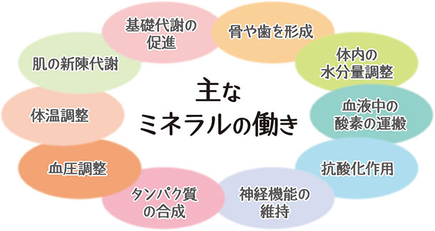 主なミネラルの働き 骨や歯を形成 体内の水分量調整 血液中の酸素の運搬 抗酸化作用 神経機能の維持 タンパク質の合成 血圧調整 体温調整 肌の新陳代謝 基礎代謝の促進