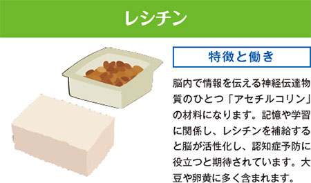 レシチン　脳内で情報を伝える神経伝達物質のひとつ｢アセチルコリン｣の材料になります。記憶や学習に関係し、レシチンを補給すると脳が活性化し、認知症予防に役立つと期待されています。大豆や卵黄に多く含まれます。