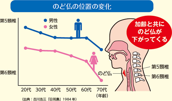 のど仏の位置の変化