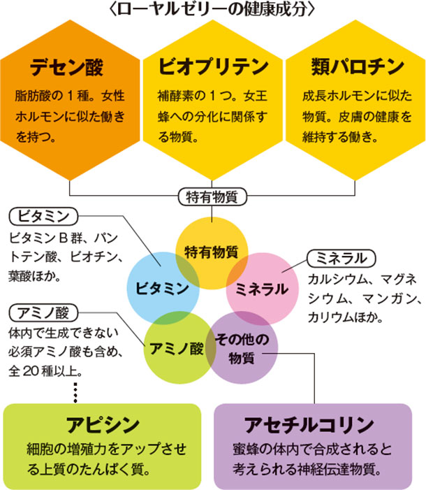 ローヤルゼリーの健康成分 デセン酸 ビオプリテン 類パロチン アピシン アセチルコリン