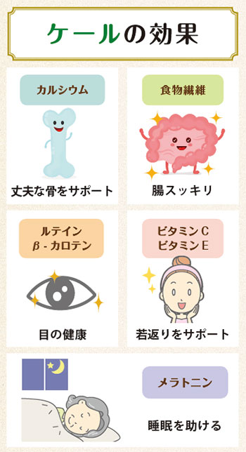ケールの効果