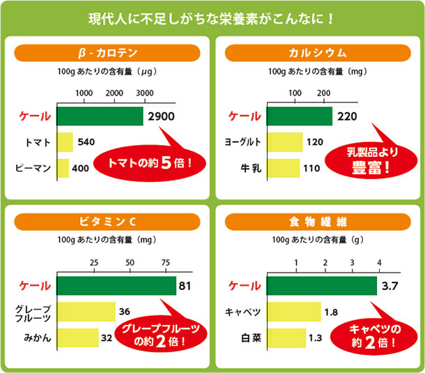 現代人に不足しがちな栄養素がこんなに!