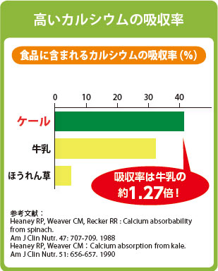 高いカルシウムの吸収率