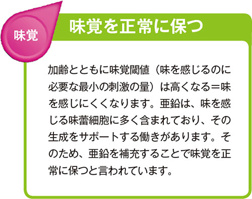 味覚を正常に保つ 加齢とともに味覚閾値(味を感じるのに必要な最小の刺激の量)は高くなる=味を感じにくくなります。亜鉛は、味を感じる味蕾細胞に多く含まれており、その生成をサポートする働きがあります。そのため、亜鉛を補充することで味覚を正常に保つと言われています。