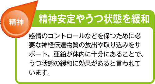 精神安定やうつ状態を緩和 感情のコントロールなどを保つために必要な神経伝達物質の放出や取り込みをサポート。亜鉛が体内に十分にあることで、うつ状態の緩和に効果があると言われています。