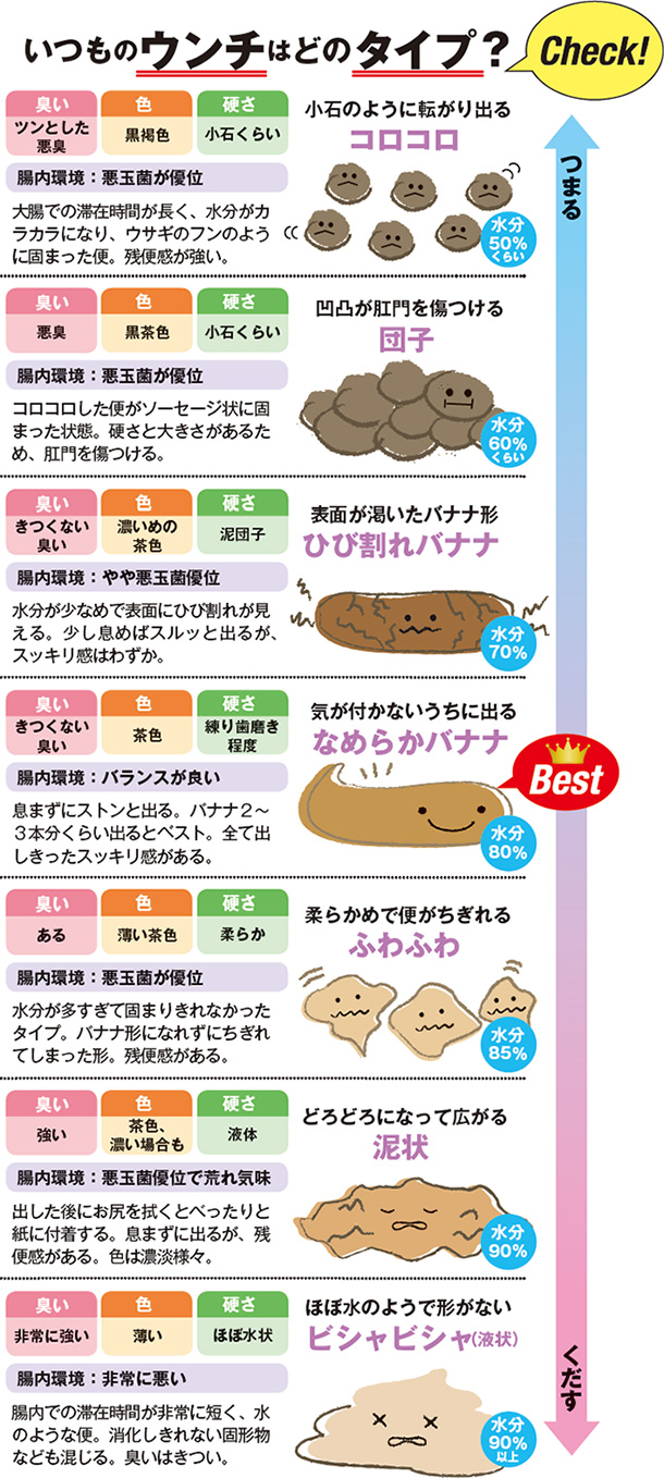 いつものウンチはどのタイプ? 腸内環境:悪玉菌が優位 大腸での滞在時間が長く、水分がカラカラになり、ウサギのフンのように固まった便。残便感が強い。コロコロした便がソーセージ状に固まった状態。硬さと大きさがあるため、肛門を傷つける。水分が少なめで表面にひび割れが見える。少し息めばスルッと出るが、スッキリ感はわずか。息まずにストンと出る。バナナ2〜3本分くらい出るとベスト。全て出しきったスッキリ感がある。水分が多すぎて固まりきれなかったタイプ。バナナ形になれずにちぎれてしまった形。残便感がある。出した後にお尻を拭くとべったりと紙に付着する。息まずに出るが、残便感がある。色は濃淡様々。腸内での滞在時間が非常に短く、水のような便。消化しきれない固形物なども混じる。臭いはきつい。