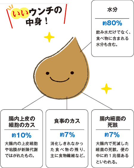 いいウンチの中身 水分 約80% 飲み水だけでなく、食べ物に含まれる水分も含む。 腸内上皮の細胞のカス 約10% 大腸内の上皮細胞や粘膜が新陳代謝ではがれたもの。 食事のカス 約7% 消化しきれなかった食べ物の残り、主に食物繊維など。腸内細菌の死骸 約7% 大腸内で死滅した細菌の死骸。便の中に約1兆個あるといわれる。