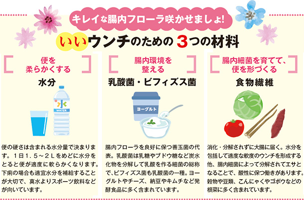 キレイな腸内フローラ咲かせましょ!いいウンチのための3つの材料 便を柔らかくする 水分 便の硬さは含まれる水分量で決まります。1日1.5〜2lをめどに水分をとると便が適度に軟らかくなります。下痢の場合も適宜水分を補給することが大切で、真水よりスポーツ飲料などが向いています。腸内環境を整える 乳酸菌・ビフィズス菌 腸内フローラを良好に保つ善玉菌の代表。乳酸菌は乳糖やブドウ糖など炭水化物を分解して乳酸を作る細菌の総称で、ビフィズス菌も乳酸菌の一種。ヨーグルトやチーズ、納豆やキムチなど発酵食品に多く含まれています。腸内細菌を育てて、便を形づくる 食物繊維 消化・分解されずに大腸に届く。水分を包括して適度な軟度のウンチを形成する他、腸内細菌によって分解されてエサとなることで、酸性に保つ働きがあります。穀物や豆類、こんにゃくやゴボウなどの根菜に多く含まれています。